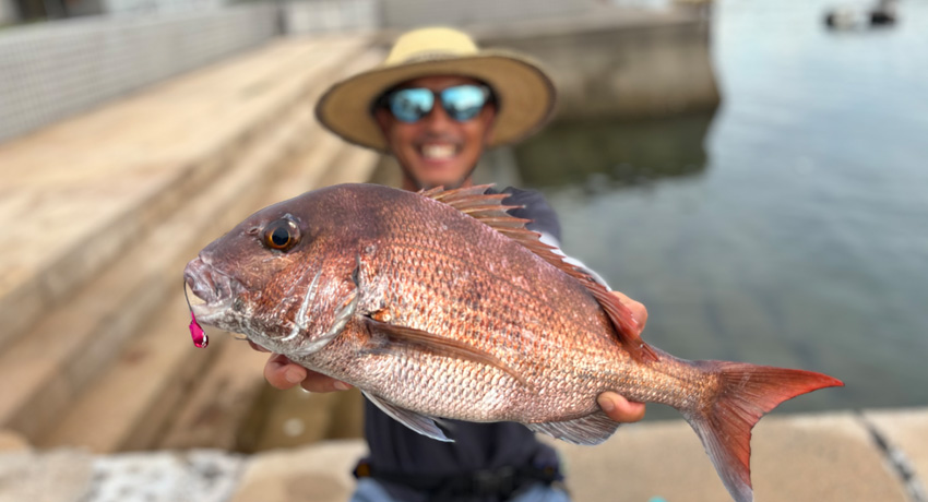 �O�}�e�����ŁA���Ȃ��̒ނ�����̃X�e�[�W��