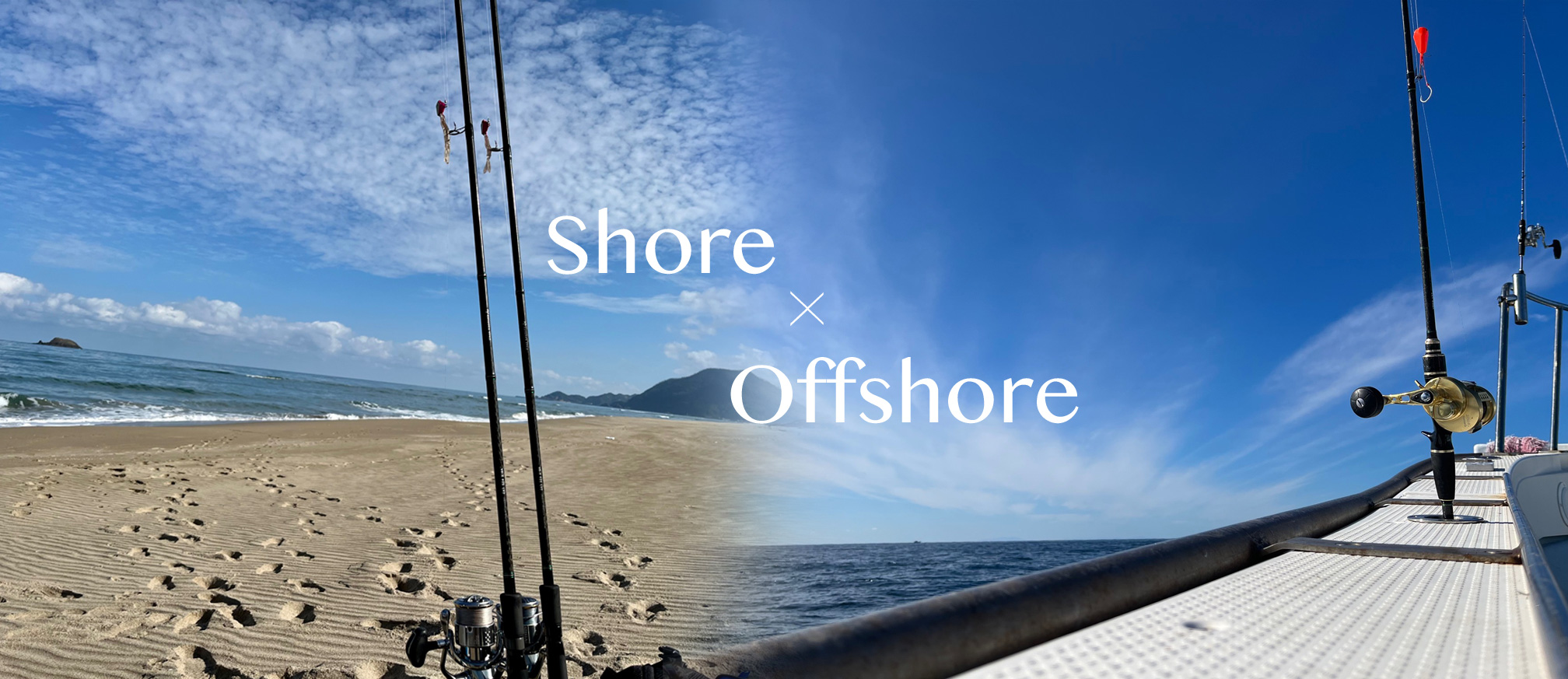 �V���A�^�I�t�V���A